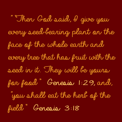Better Choices Cookbook